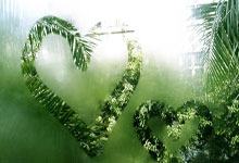 欧宝App -维尼修斯传射建功，武磊新星横空出世，场边球探频频记笔记的简单介绍